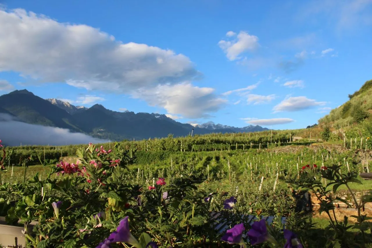 Feriegård La Vita In Campagna Villa di Tirano